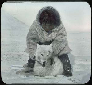 Image: E-tuk-a-suk with Dead Wolf